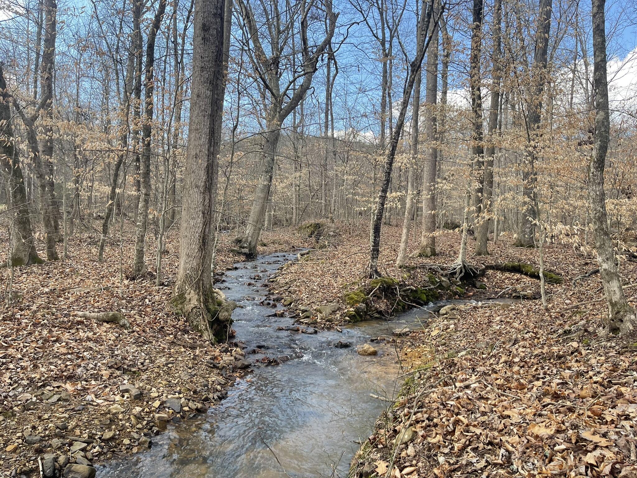 0 Floyd Springs Road Northeast Armuchee, GA 30105 - Photo 12 of 36 FSF 12.1