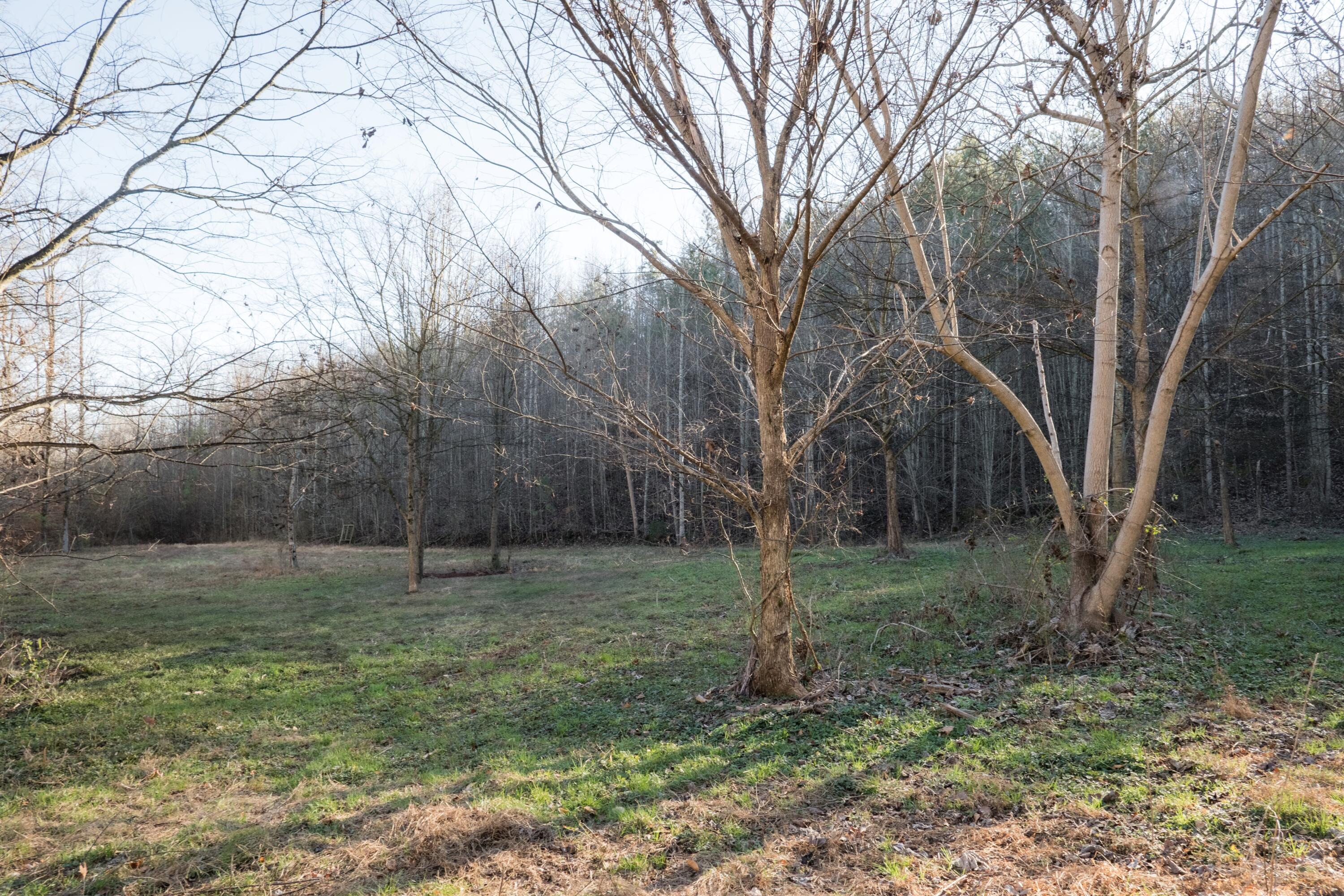 0 Floyd Springs Road Northeast Armuchee, GA 30105 - Photo 13 of 36 FSF 12