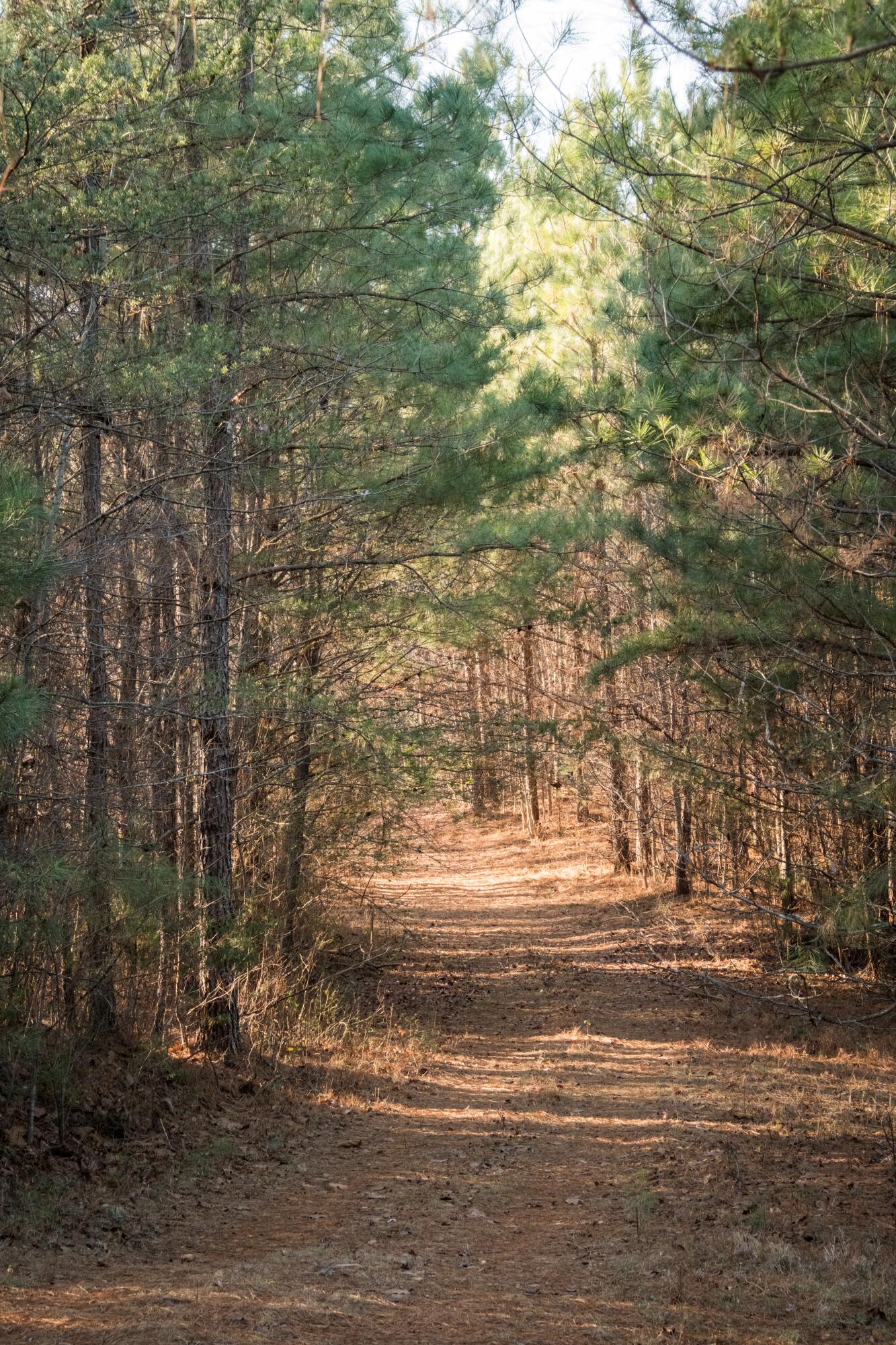 0 Floyd Springs Road Northeast Armuchee, GA 30105 - Photo 15 of 36 FSF 14