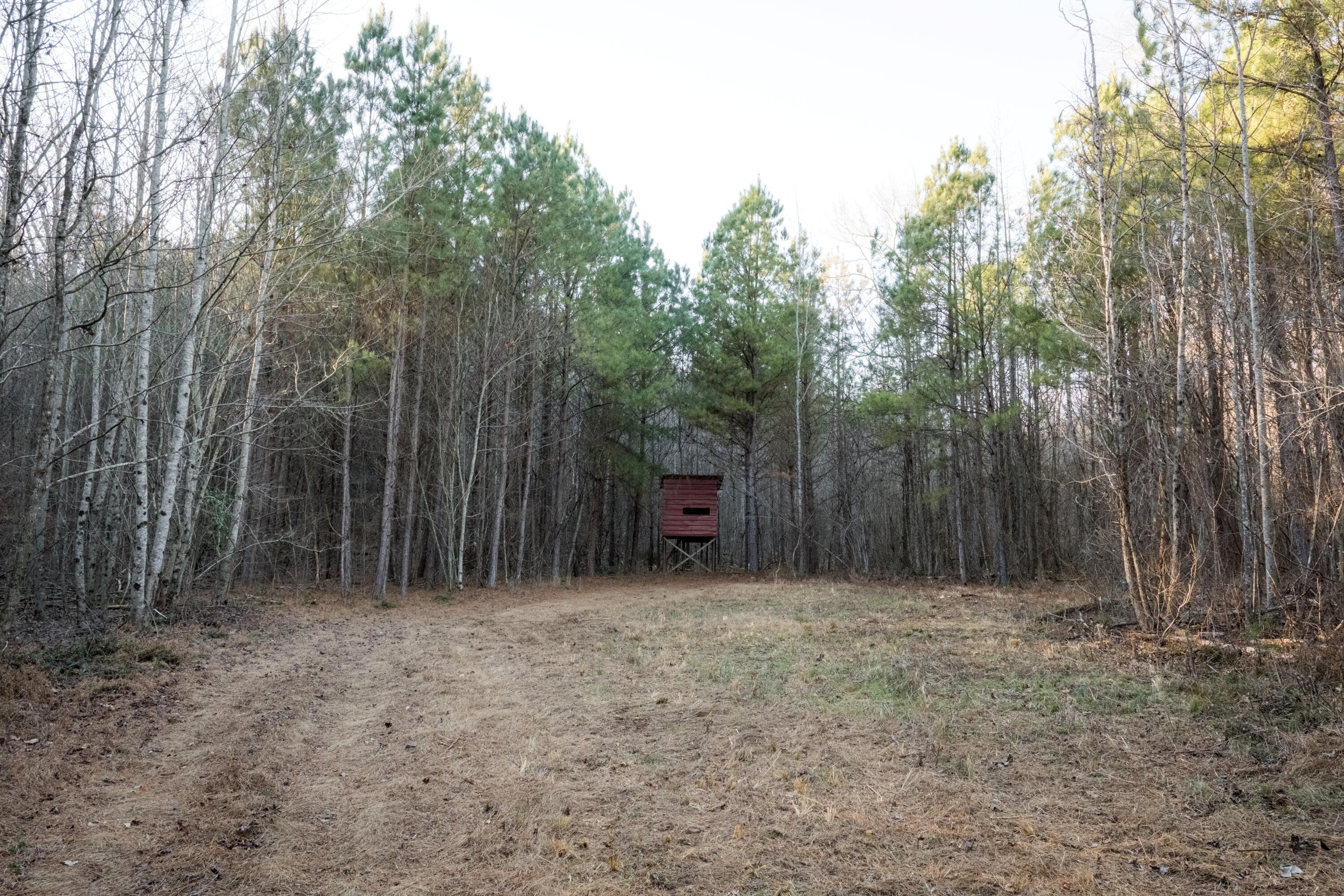0 Floyd Springs Road Northeast Armuchee, GA 30105 - Photo 16 of 36 FSF 15