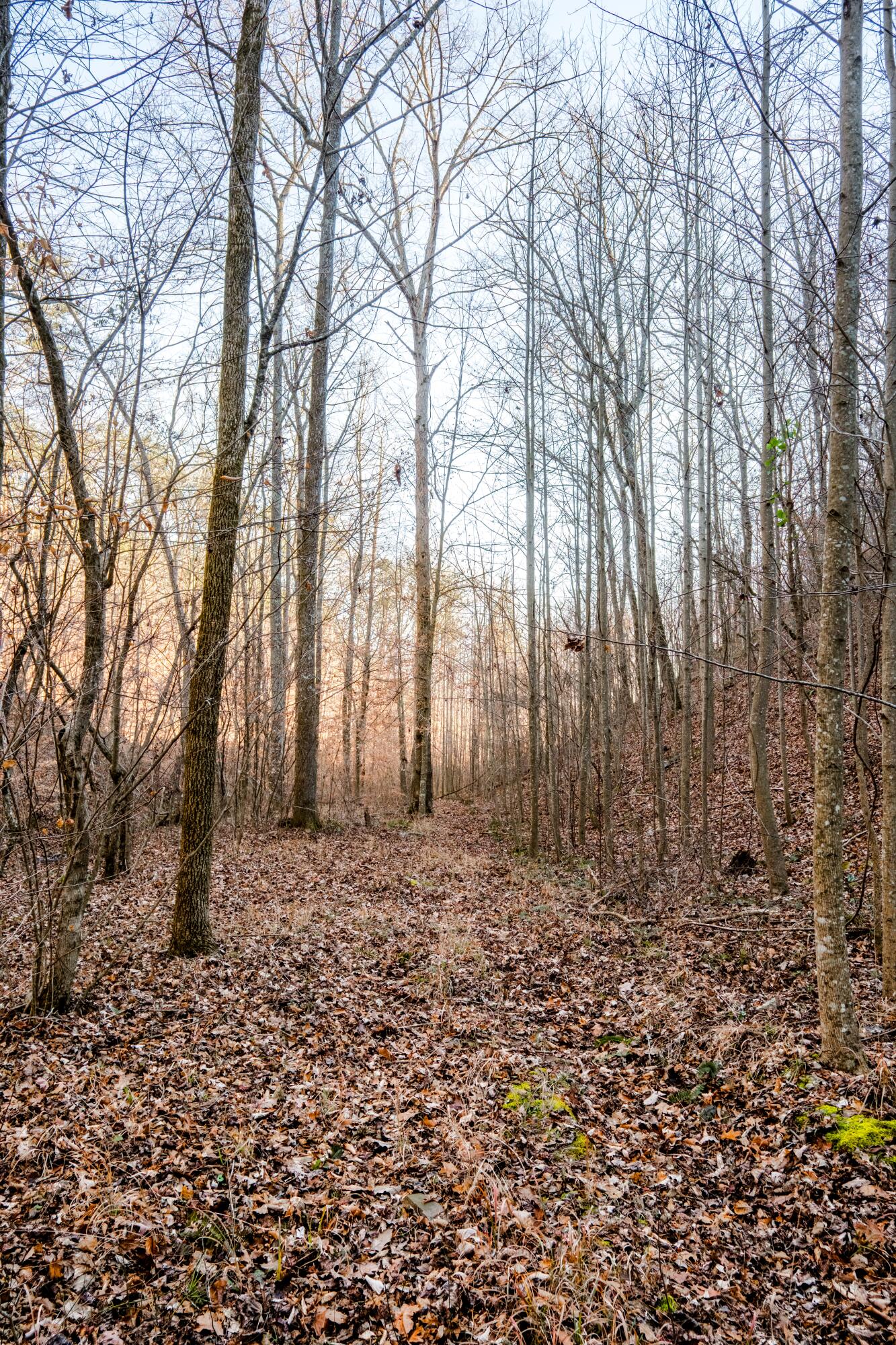 0 Floyd Springs Road Northeast Armuchee, GA 30105 - Photo 18 of 36 FSF 17