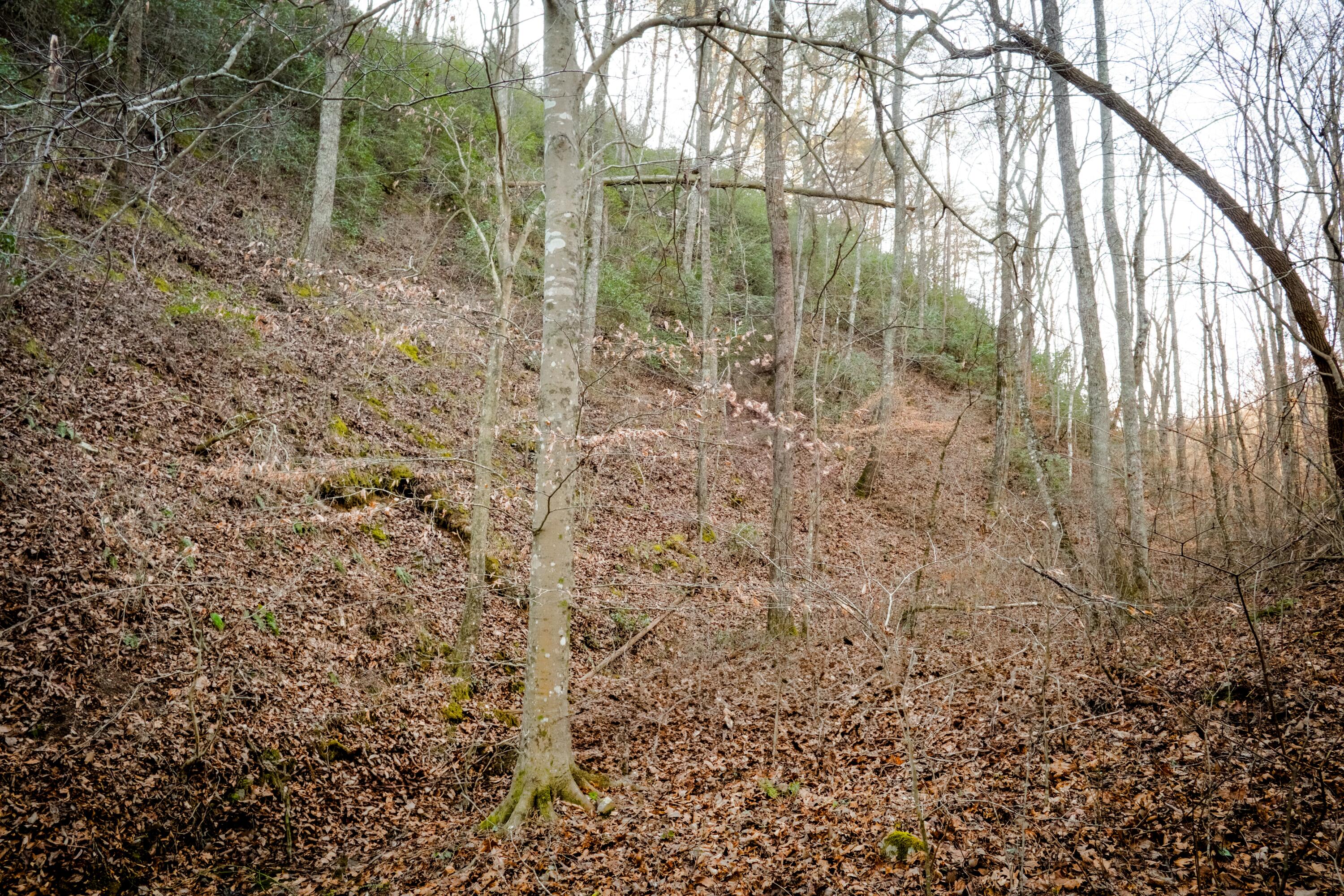 0 Floyd Springs Road Northeast Armuchee, GA 30105 - Photo 19 of 36 FSF 18