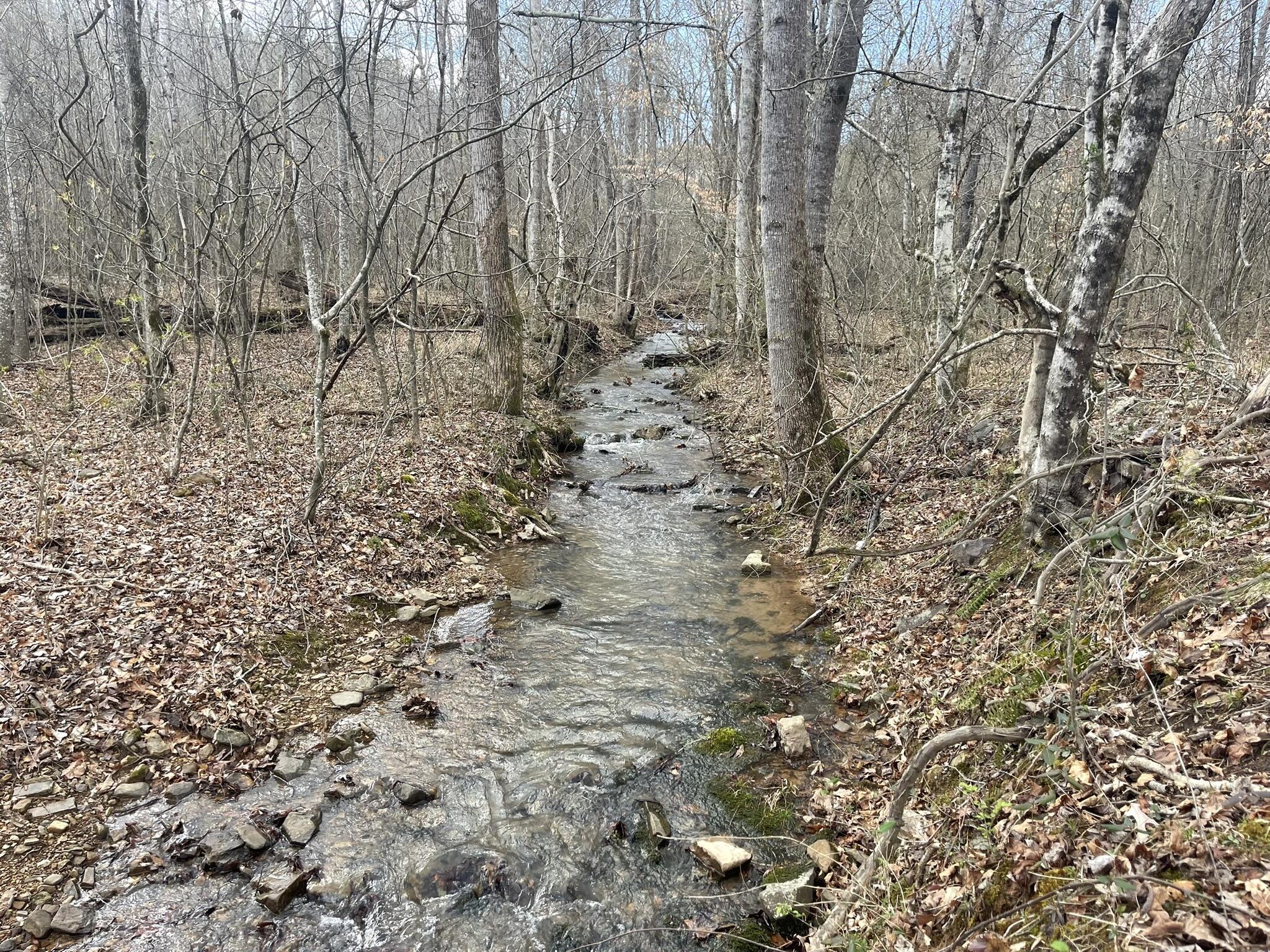 0 Floyd Springs Road Northeast Armuchee, GA 30105 - Photo 20 of 36 FSF 19