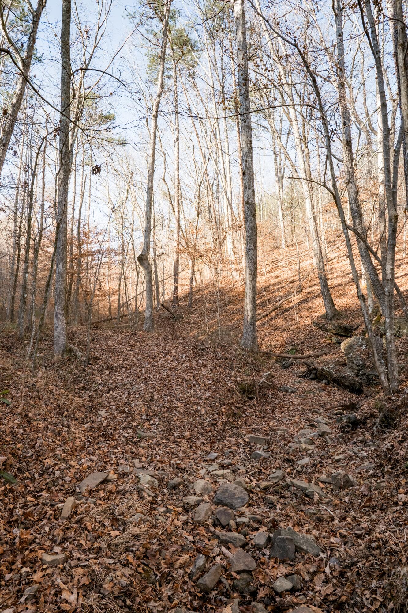 0 Floyd Springs Road Northeast Armuchee, GA 30105 - Photo 21 of 36 FSF 20