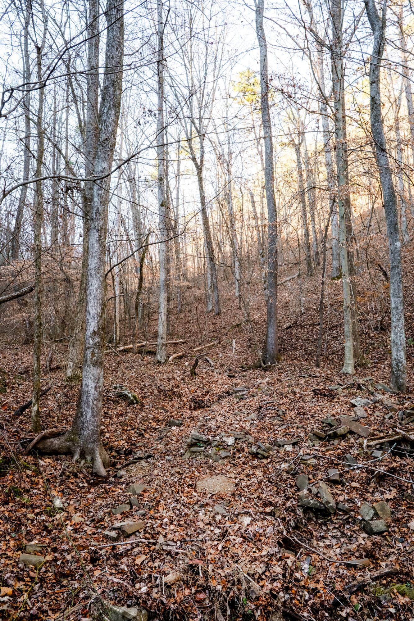 0 Floyd Springs Road Northeast Armuchee, GA 30105 - Photo 22 of 36 FSF 21