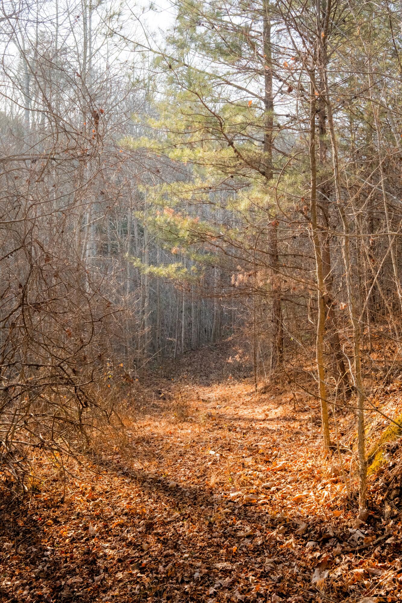 0 Floyd Springs Road Northeast Armuchee, GA 30105 - Photo 23 of 36 FSF 22