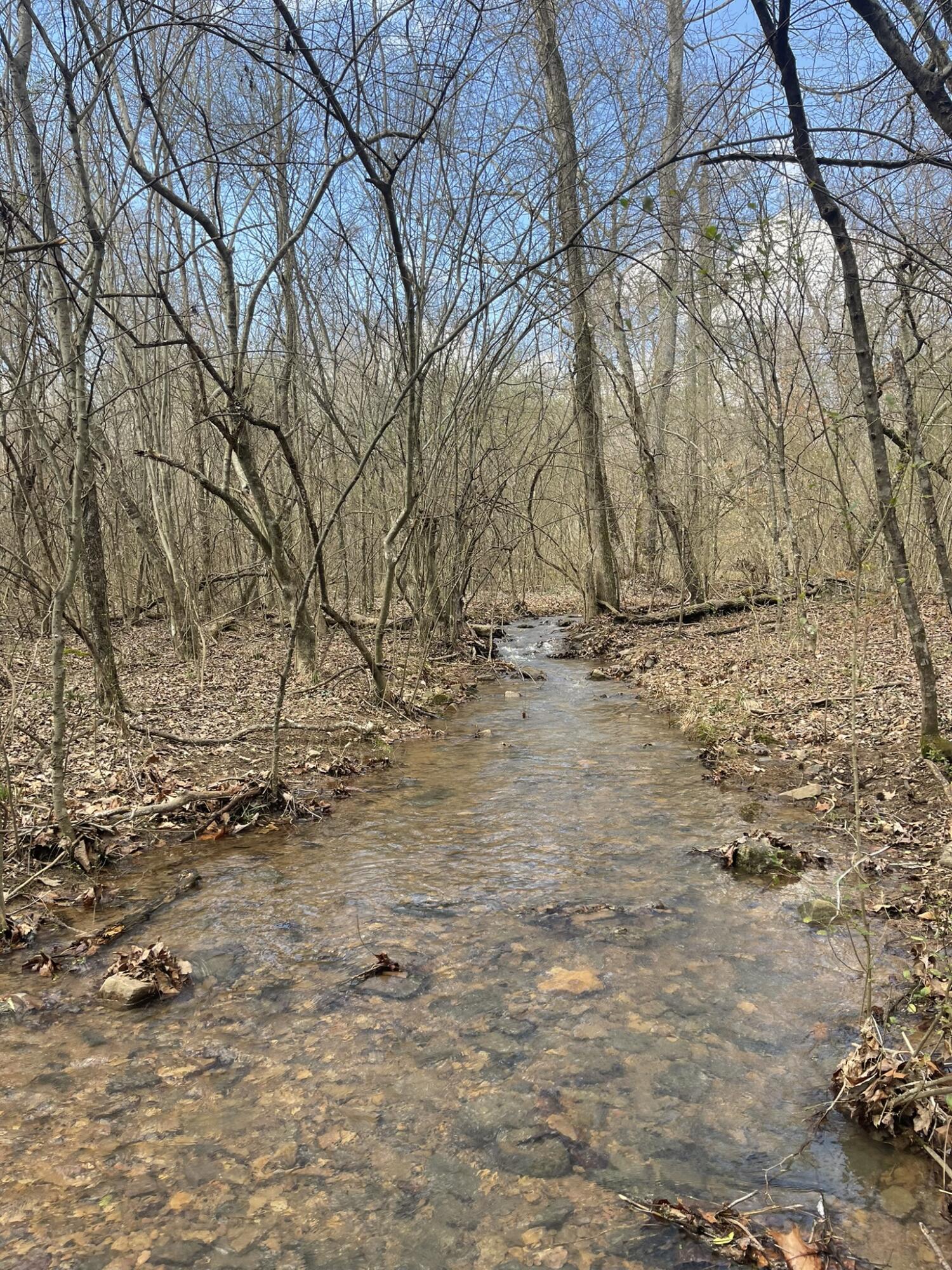 0 Floyd Springs Road Northeast Armuchee, GA 30105 - Photo 24 of 36 FSF 23.1