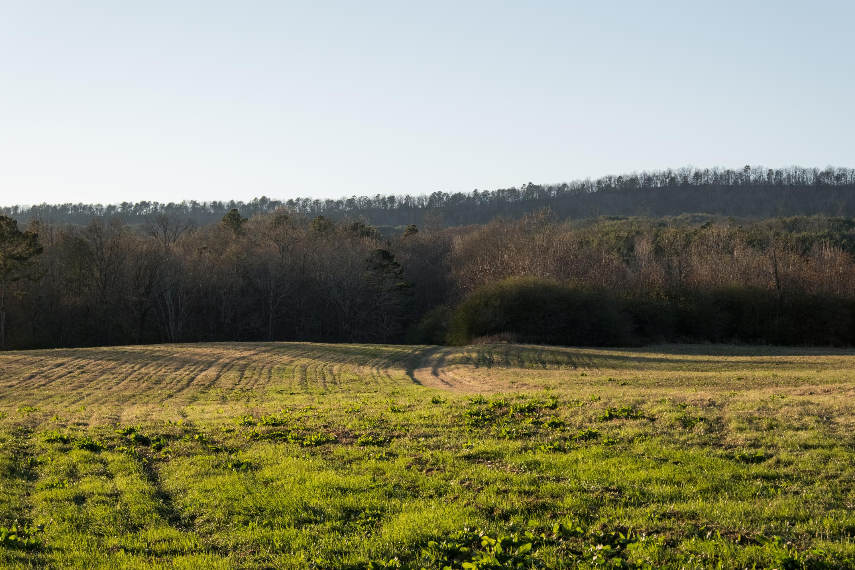 0 Floyd Springs Road Northeast Armuchee, GA 30105 - Photo 26 of 36 FSF 24