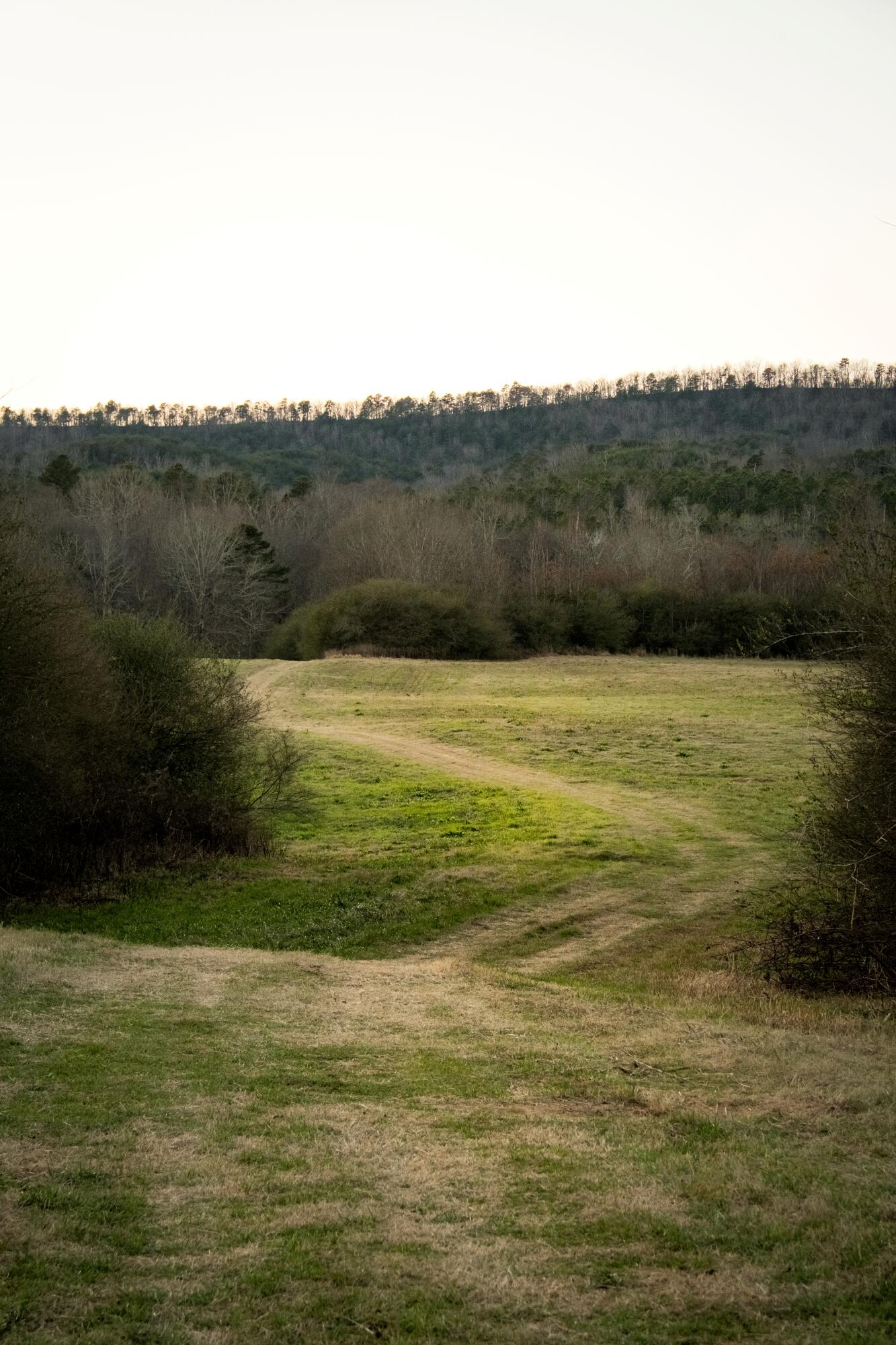 0 Floyd Springs Road Northeast Armuchee, GA 30105 - Photo 28 of 36 FSF 25