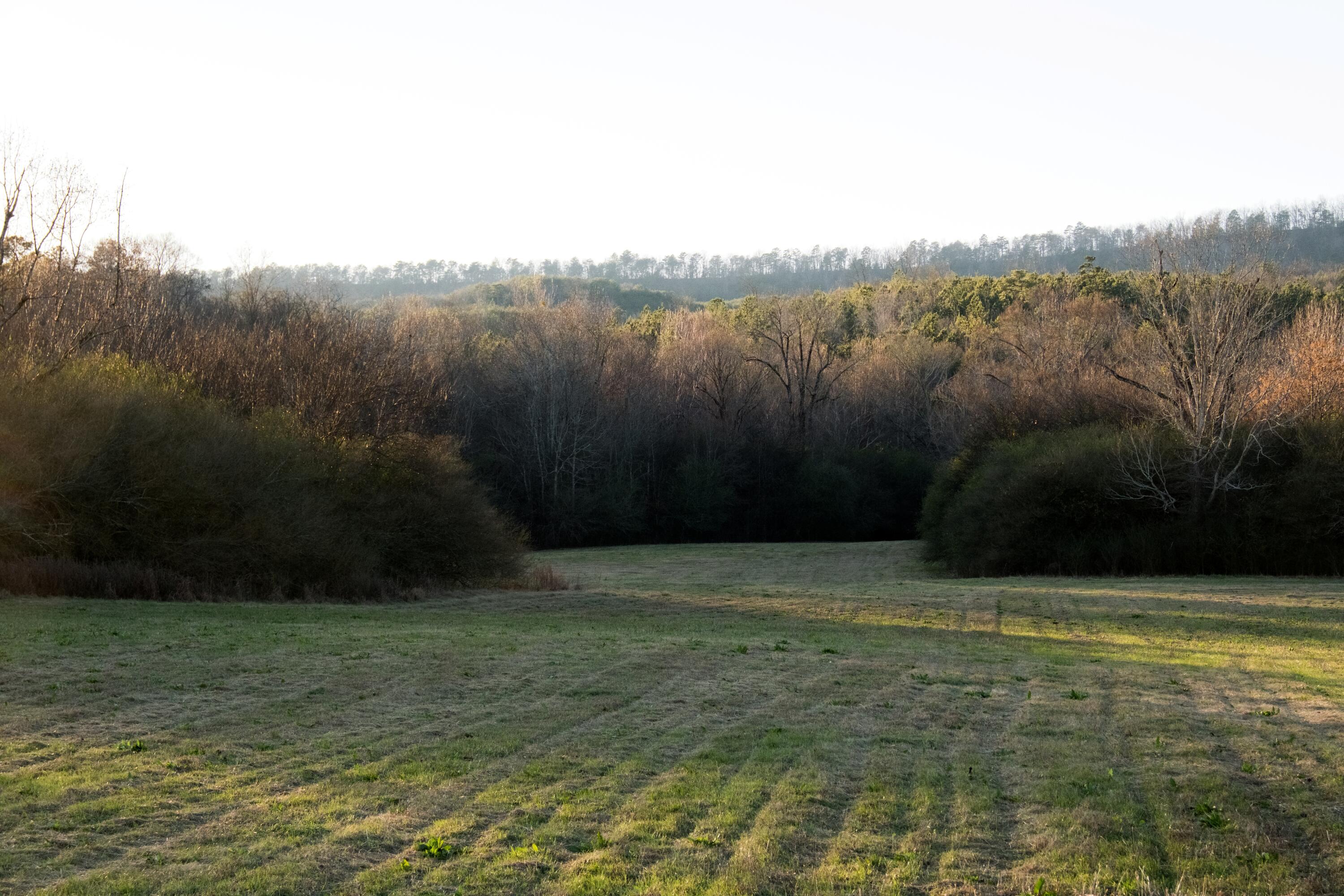 0 Floyd Springs Road Northeast Armuchee, GA 30105 - Photo 31 of 36 FSF 28.1