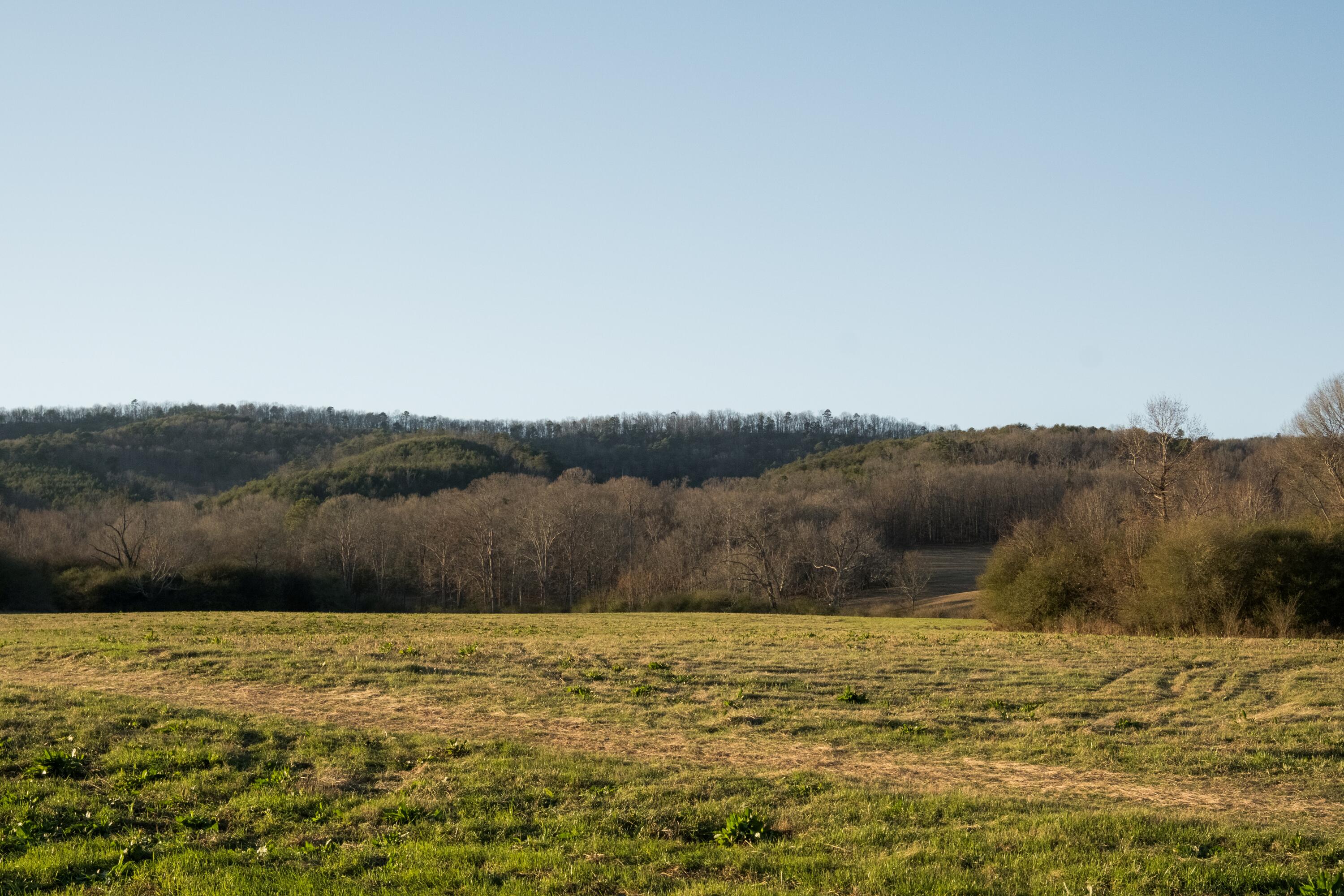 0 Floyd Springs Road Northeast Armuchee, GA 30105 - Photo 4 of 36 FSF 3