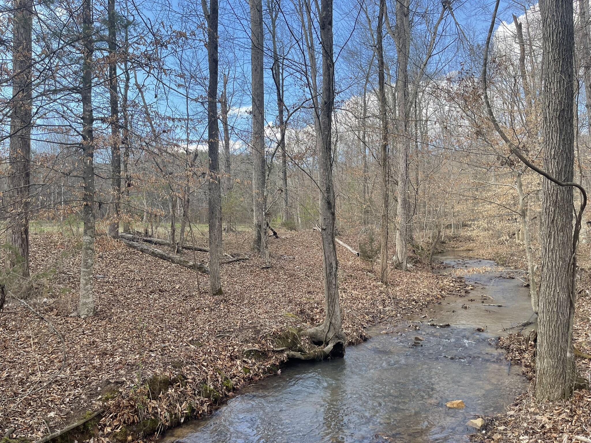 0 Floyd Springs Road Northeast Armuchee, GA 30105 - Photo 9 of 36 FSF 9