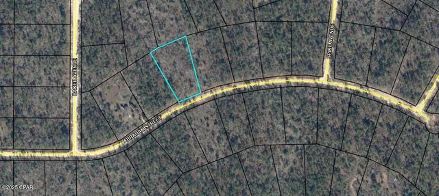 $25,000 | Lot 5-blk Abraham Street, Alford, FL 32420
