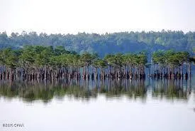 $25,000 | Lot 5-blk Abraham Street, Alford, FL 32420