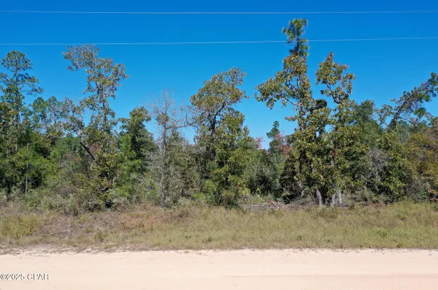 $25,000 | Lot 5-blk Abraham Street, Alford, FL 32420