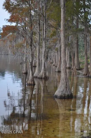 $25,000 | Lot 5-blk Abraham Street, Alford, FL 32420