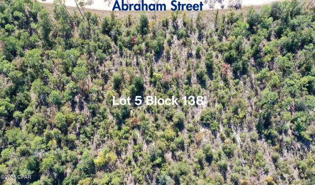 $25,000 | Lot 5-blk Abraham Street, Alford, FL 32420