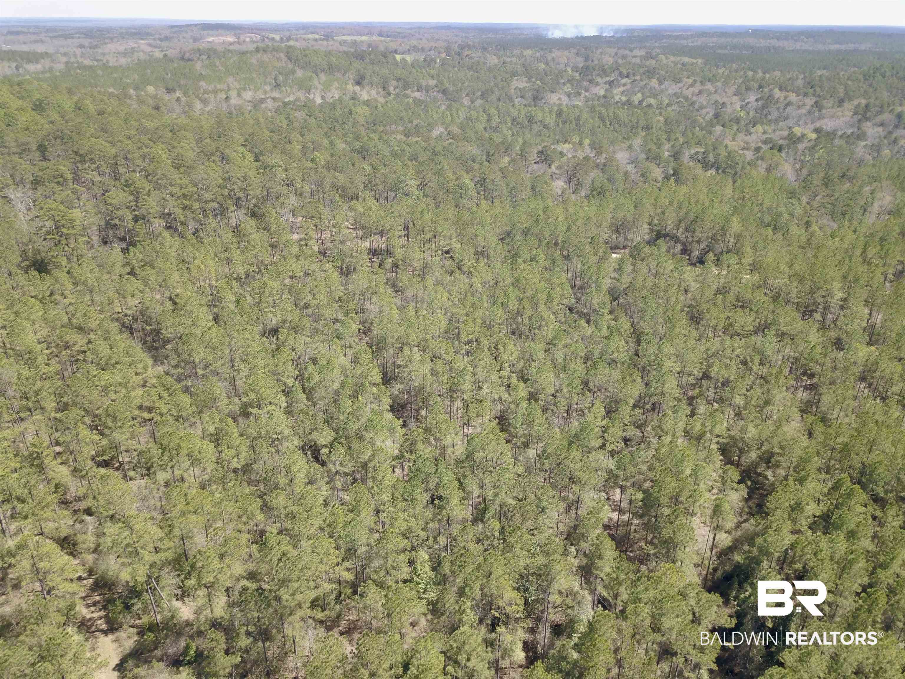 8557 County Road 34 Millry, AL 36558 - Photo 12 of 36 Drone / aerial view featuring a forest view