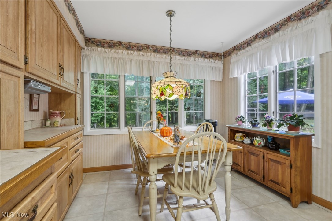 1095 Dorsh Road Cleveland, OH 44121 - Photo 7 of 33 Gallery Image 7