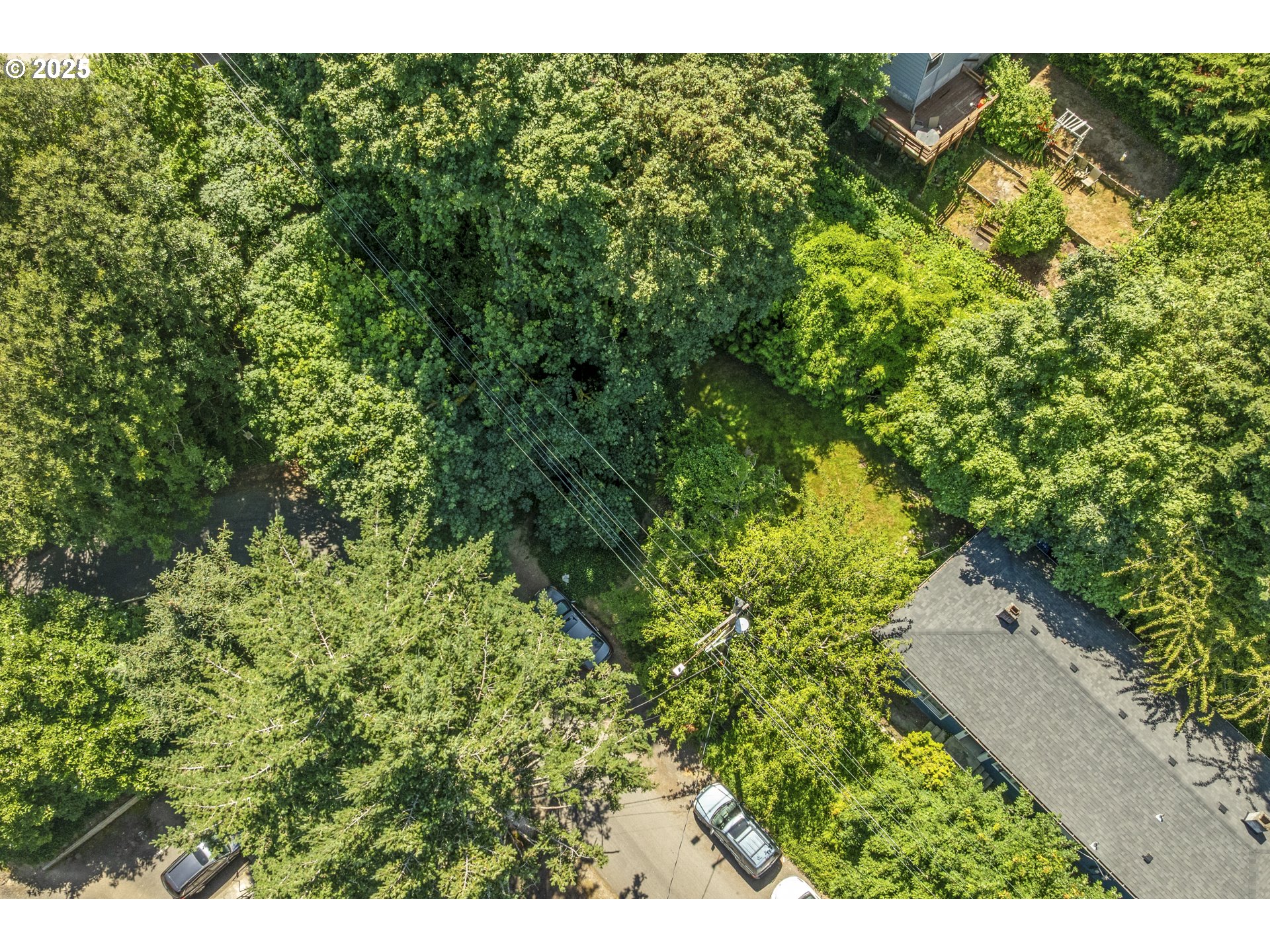 0 Southwest 10th Avenue Portland, OR 97239 - Photo 1 of 22 a view of a yard with a tree