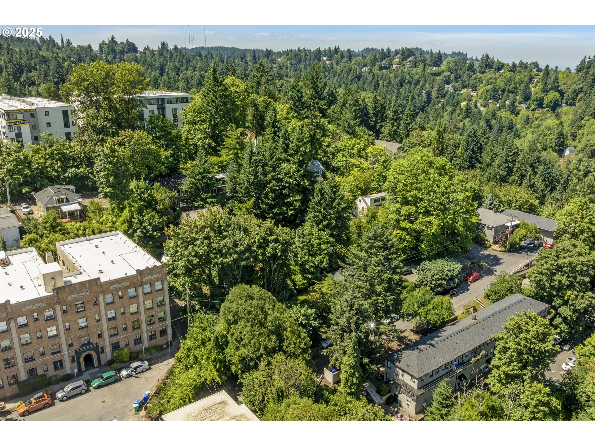 0 Southwest 10th Avenue Portland, OR 97239 - Photo 11 of 22 a view of a garden