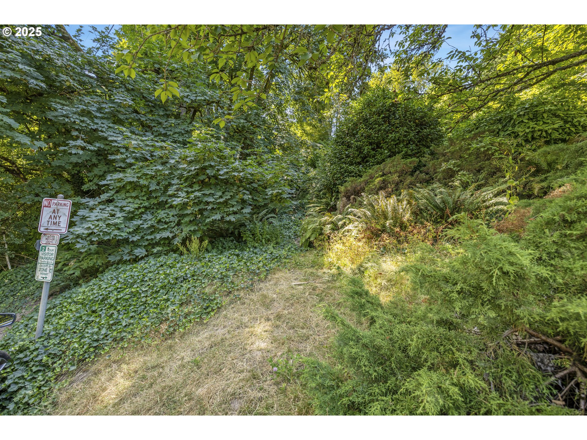 0 Southwest 10th Avenue Portland, OR 97239 - Photo 13 of 22 a view of a forest