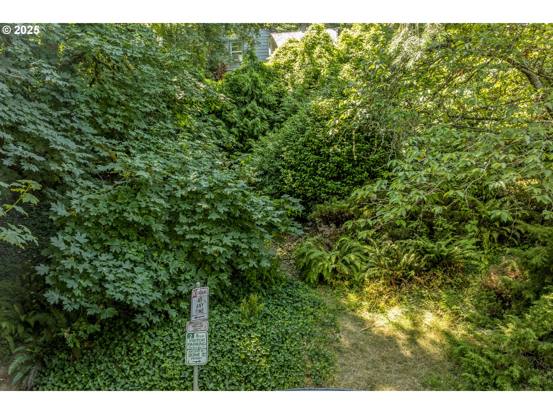 0 Southwest 10th Avenue Portland, OR 97239 - Photo 14 of 22 a view of a lush green forest