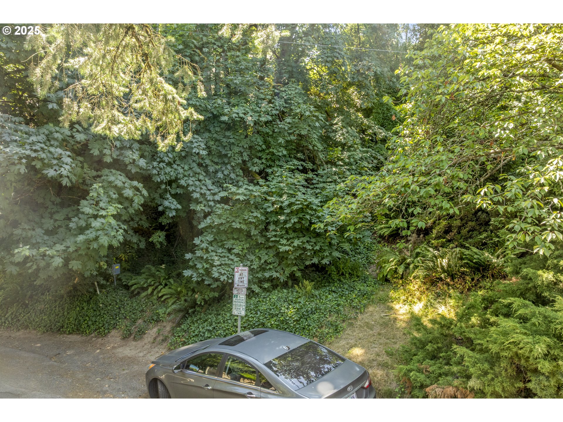 0 Southwest 10th Avenue Portland, OR 97239 - Photo 17 of 22 a view of outdoor space and yard