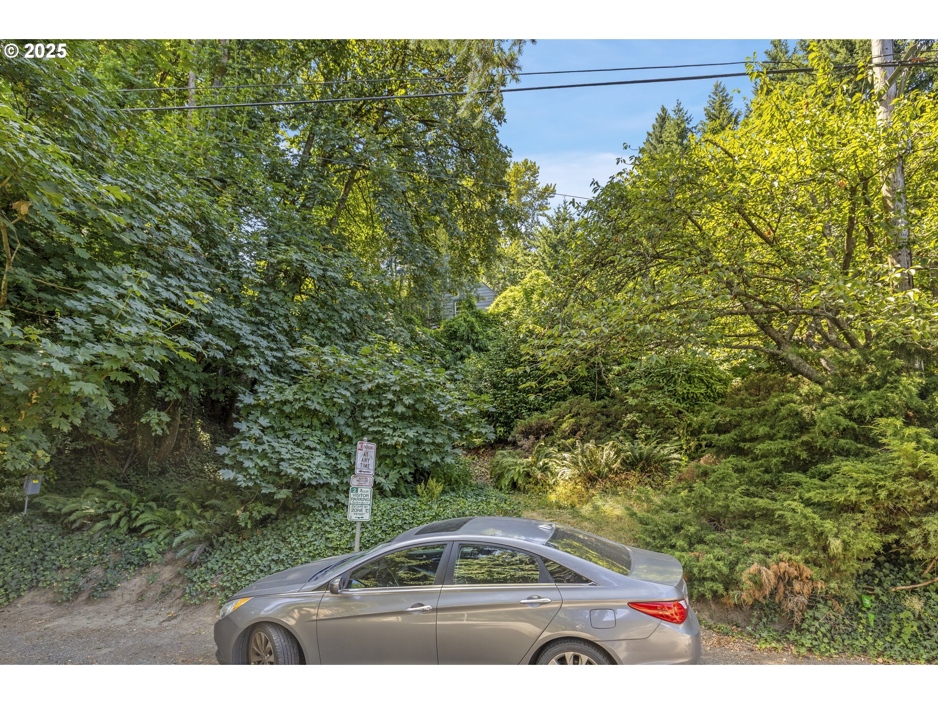 0 Southwest 10th Avenue Portland, OR 97239 - Photo 18 of 22 a view of a yard with an outdoor space