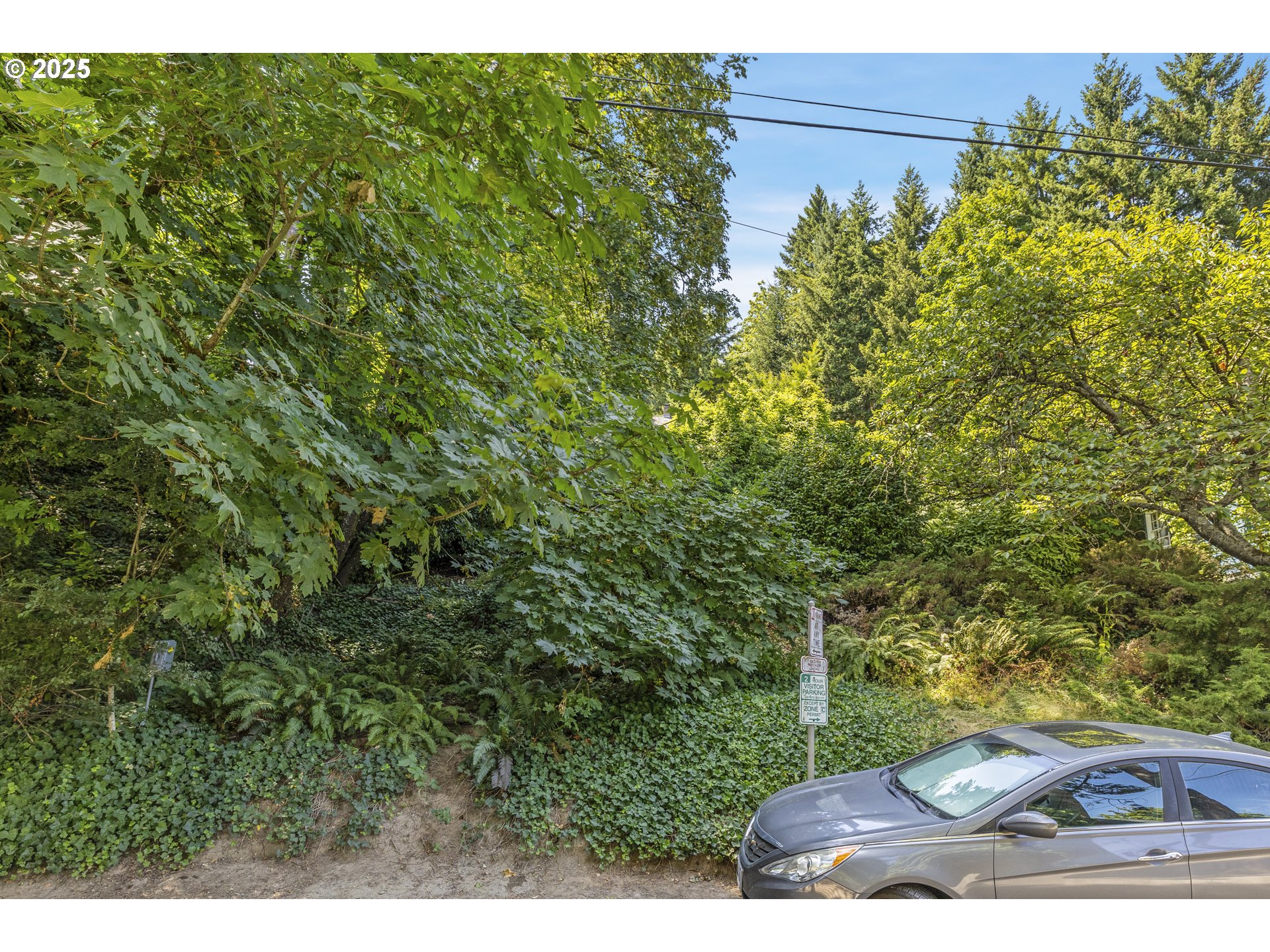 0 Southwest 10th Avenue Portland, OR 97239 - Photo 19 of 22 a view of a backyard of the house