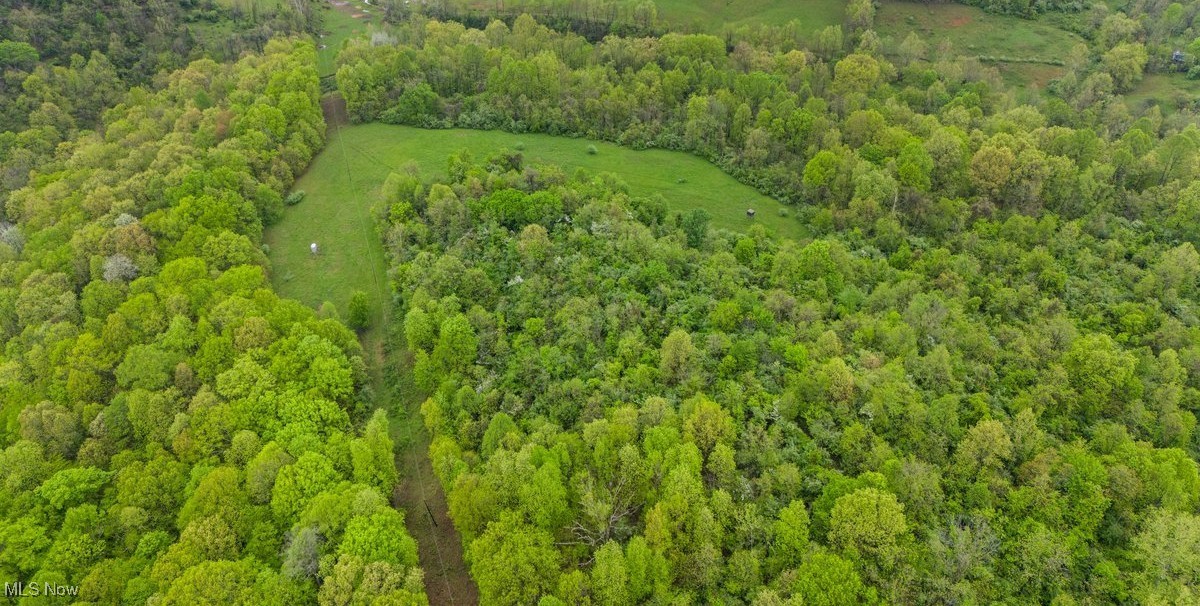 0 Wolfe Run Road Belleville, WV 26133 - Photo 13 of 38 8 acres of meadow