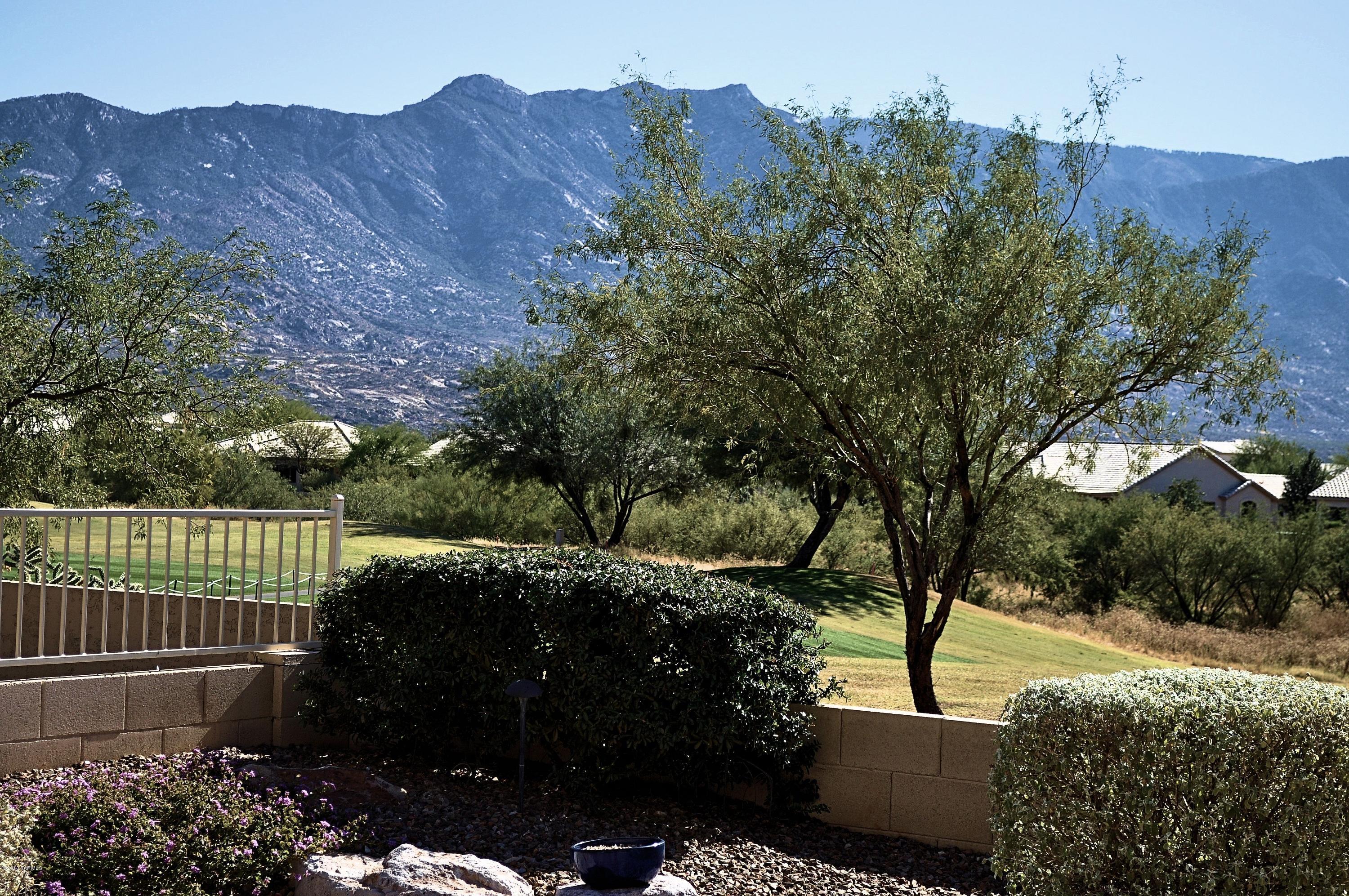 63383 East Flower Ridge Drive Tucson, AZ 85739 - Photo 33 of 40