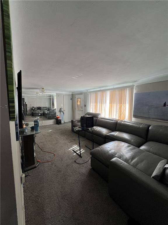 1209 Walnut Street North Versailles, PA 15137 - Photo 2 of 13