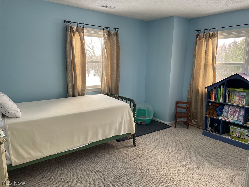 501 Horning Road Atwater, OH 44201 - Photo 23 of 31 Gallery Image 23