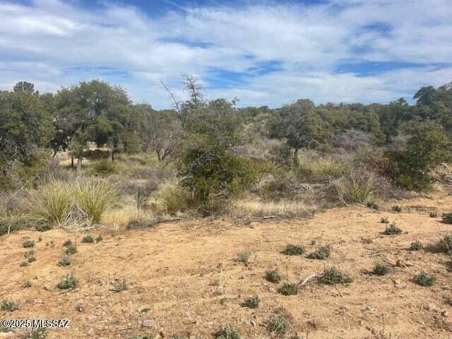 0 North Robles Road Oracle, AZ 85623 - Photo 5 of 6