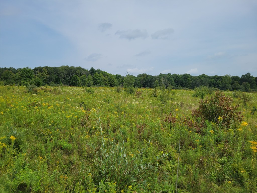 96 Penelope Road Triangle, NY 13862 - Photo 1 of 4