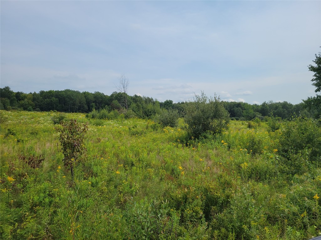 96 Penelope Road Triangle, NY 13862 - Photo 3 of 4