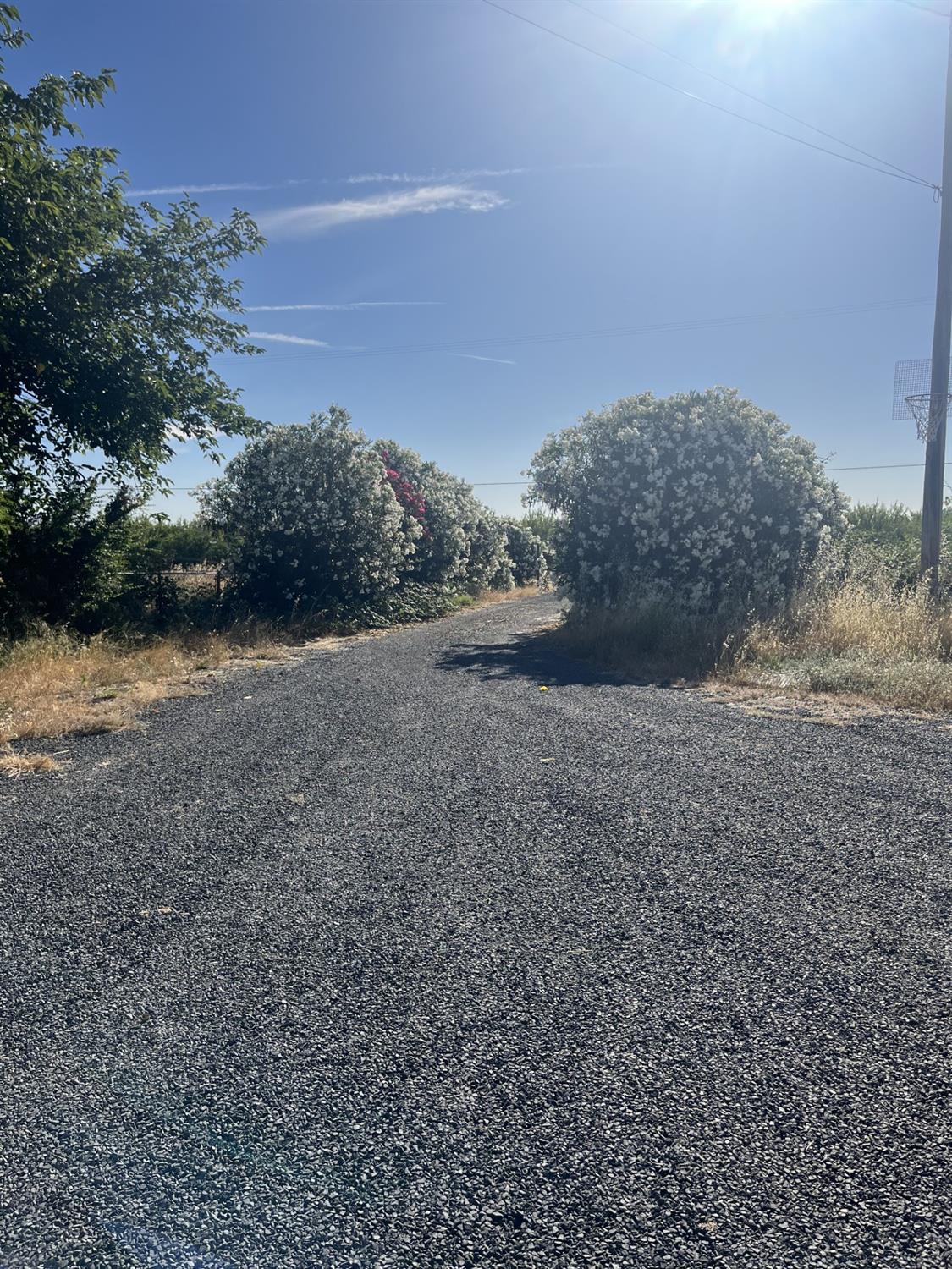 547 Lone Tree Road Oroville, CA 95965 - Photo 2 of 3 a view of a field