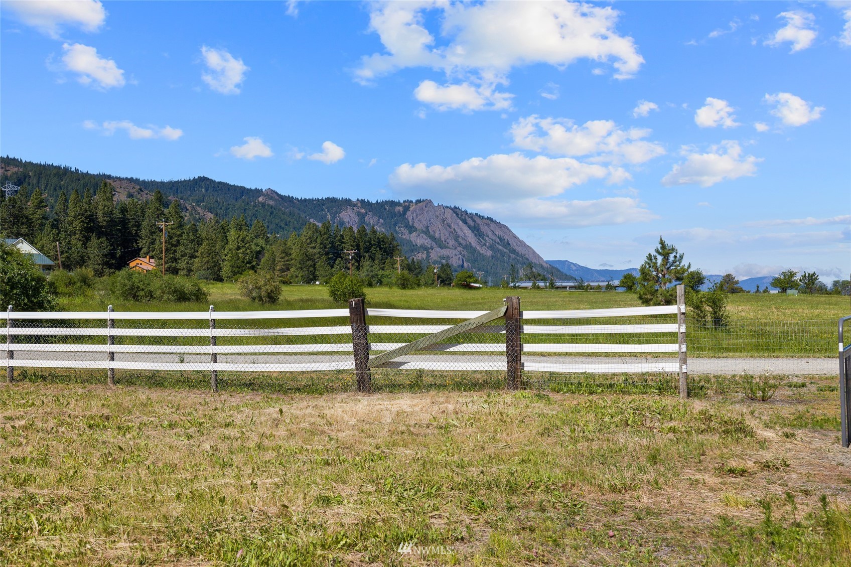 5741 Upper Peoh Point Road Cle Elum, WA 98922 - Photo 31 of 39 a view of a yard with a large trees