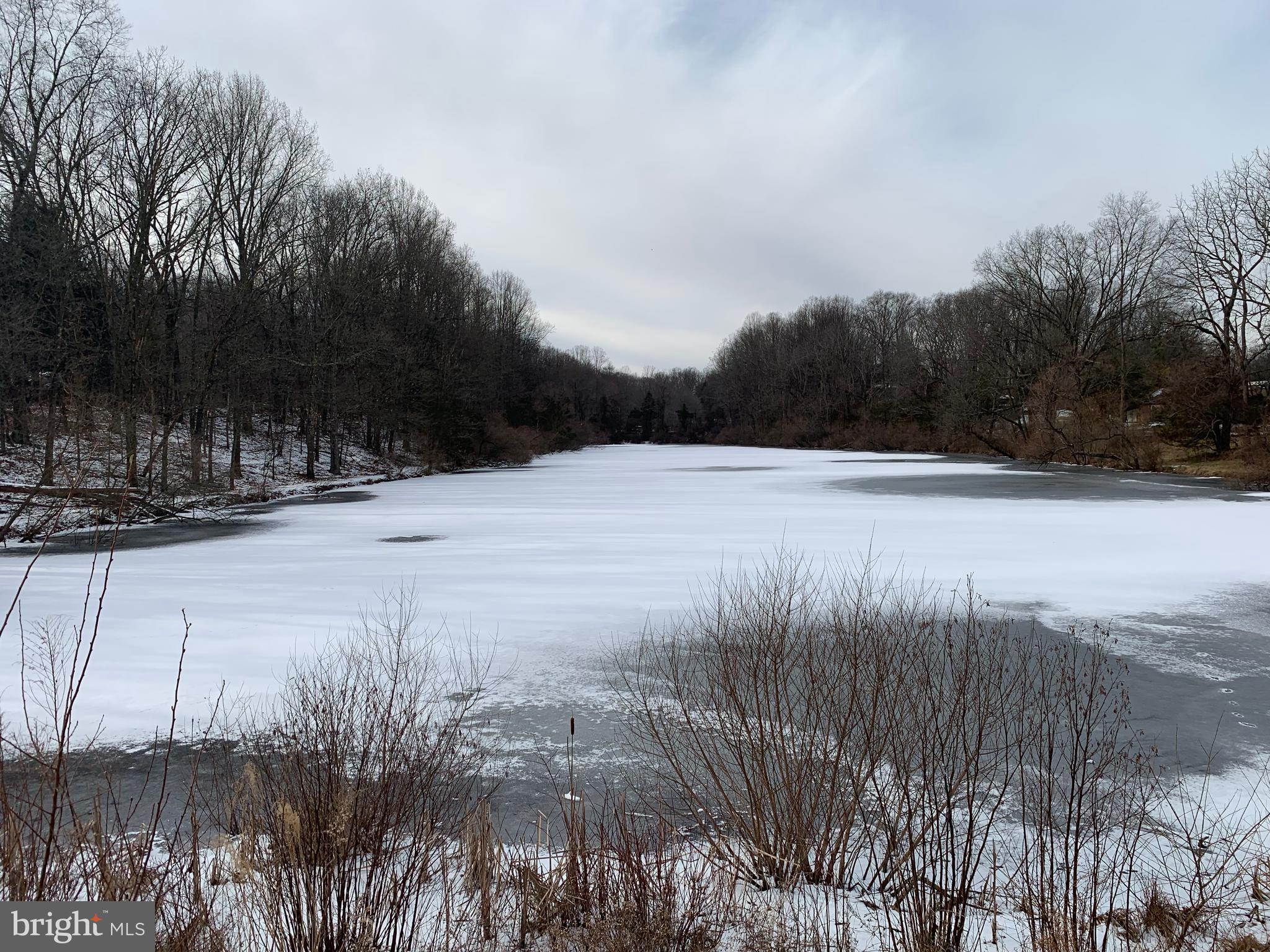 Photo of lake taken Jan 26, 2019