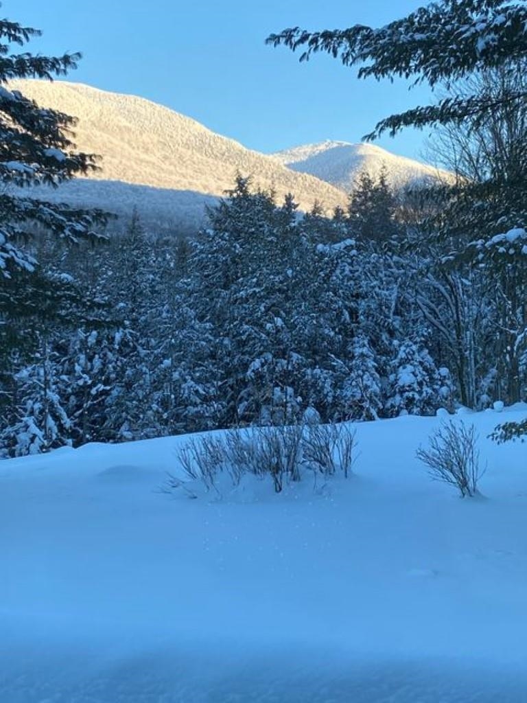 305 Fisher Road Montgomery, VT 05471 - Photo 3 of 35