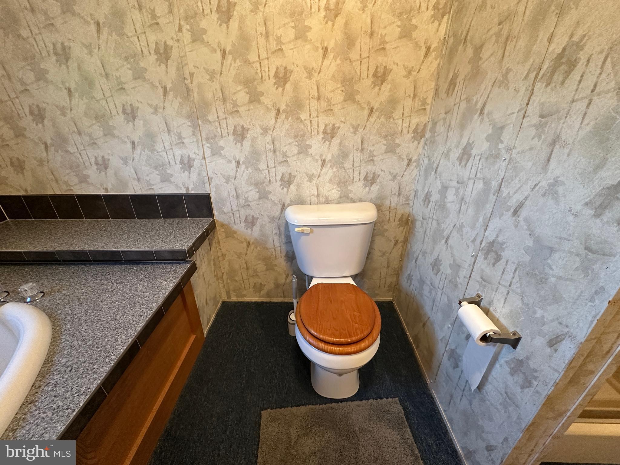 4391 Cito Road McConnellsburg, PA 17233 - Photo 57 of 67 a bathroom with a toilet and a sink