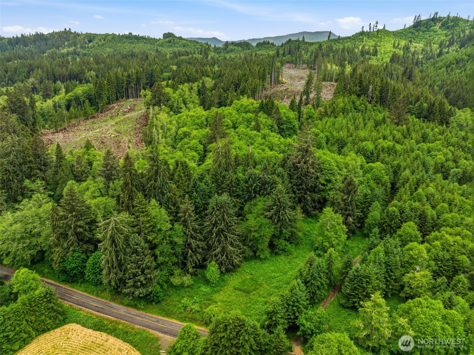 0 East Valley Road Skamokawa, WA 98647 - Photo 12 of 15
