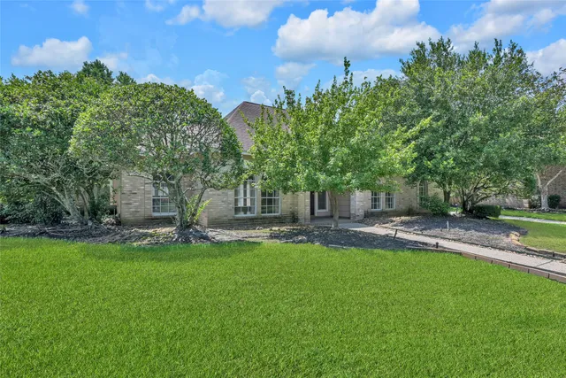 a view of a couches in a backyard