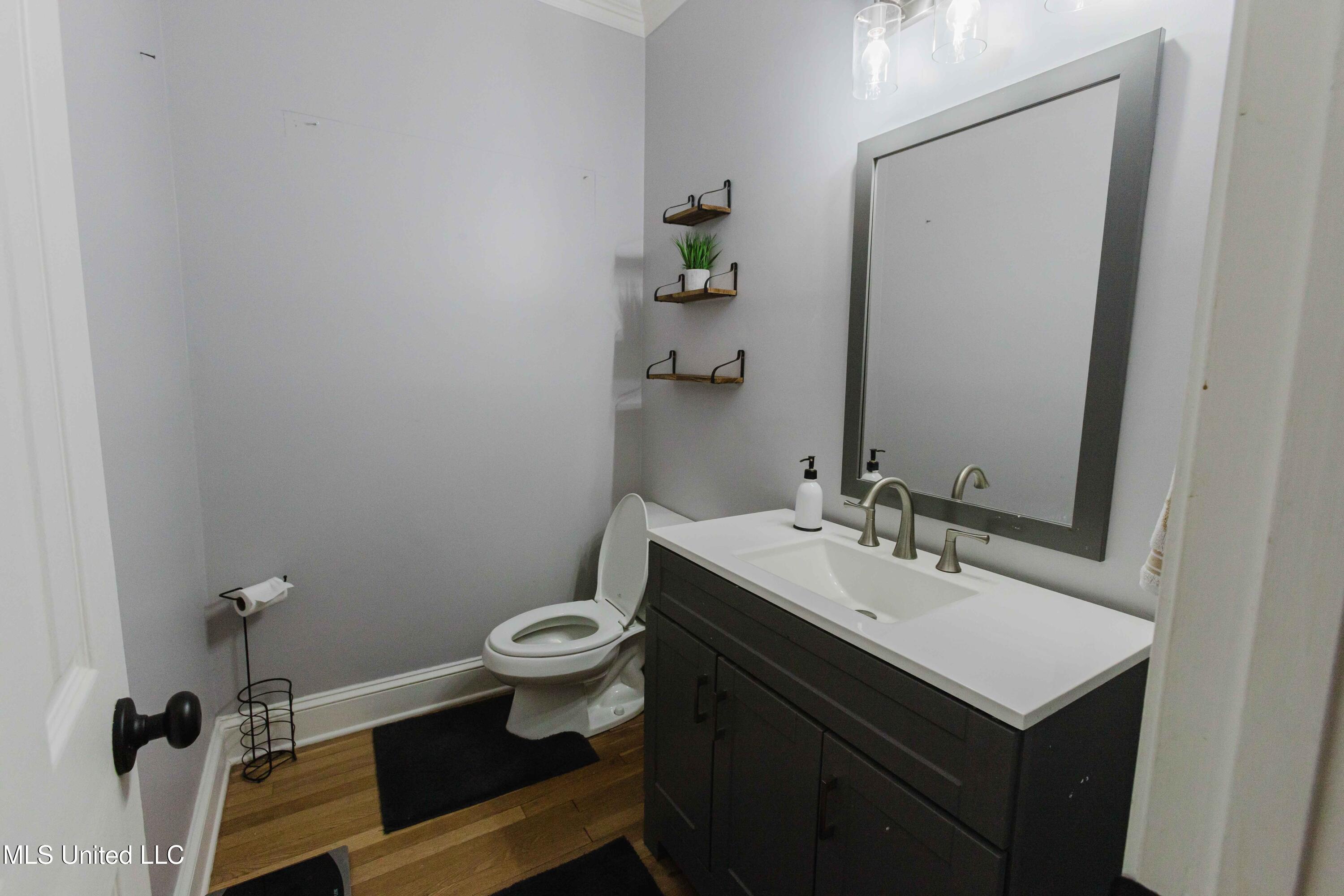 207 Bellewether Pass Ridgeland, MS 39157 - Photo 18 of 49 watsonphotography.250714101007