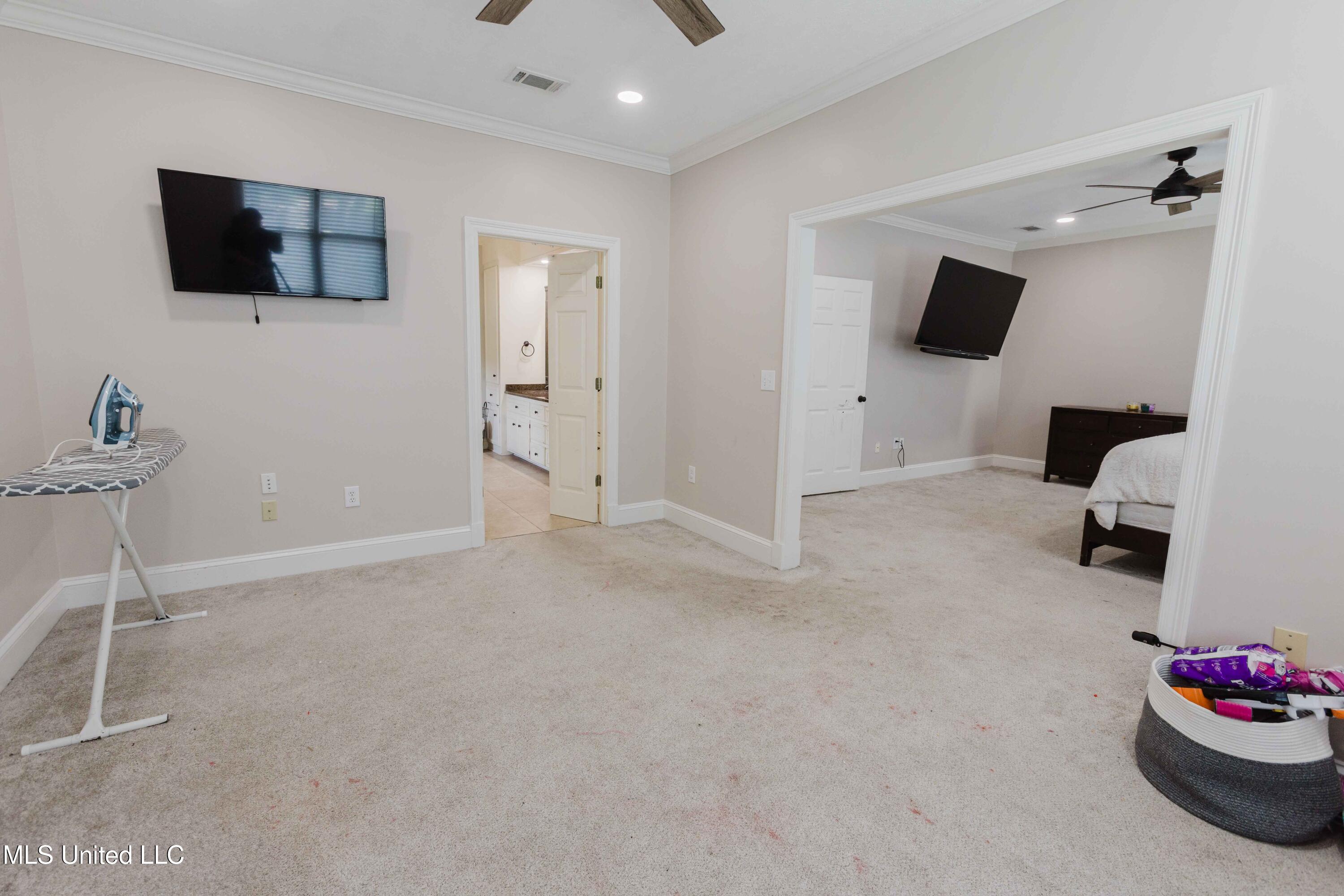 207 Bellewether Pass Ridgeland, MS 39157 - Photo 27 of 49 watsonphotography.250714101540