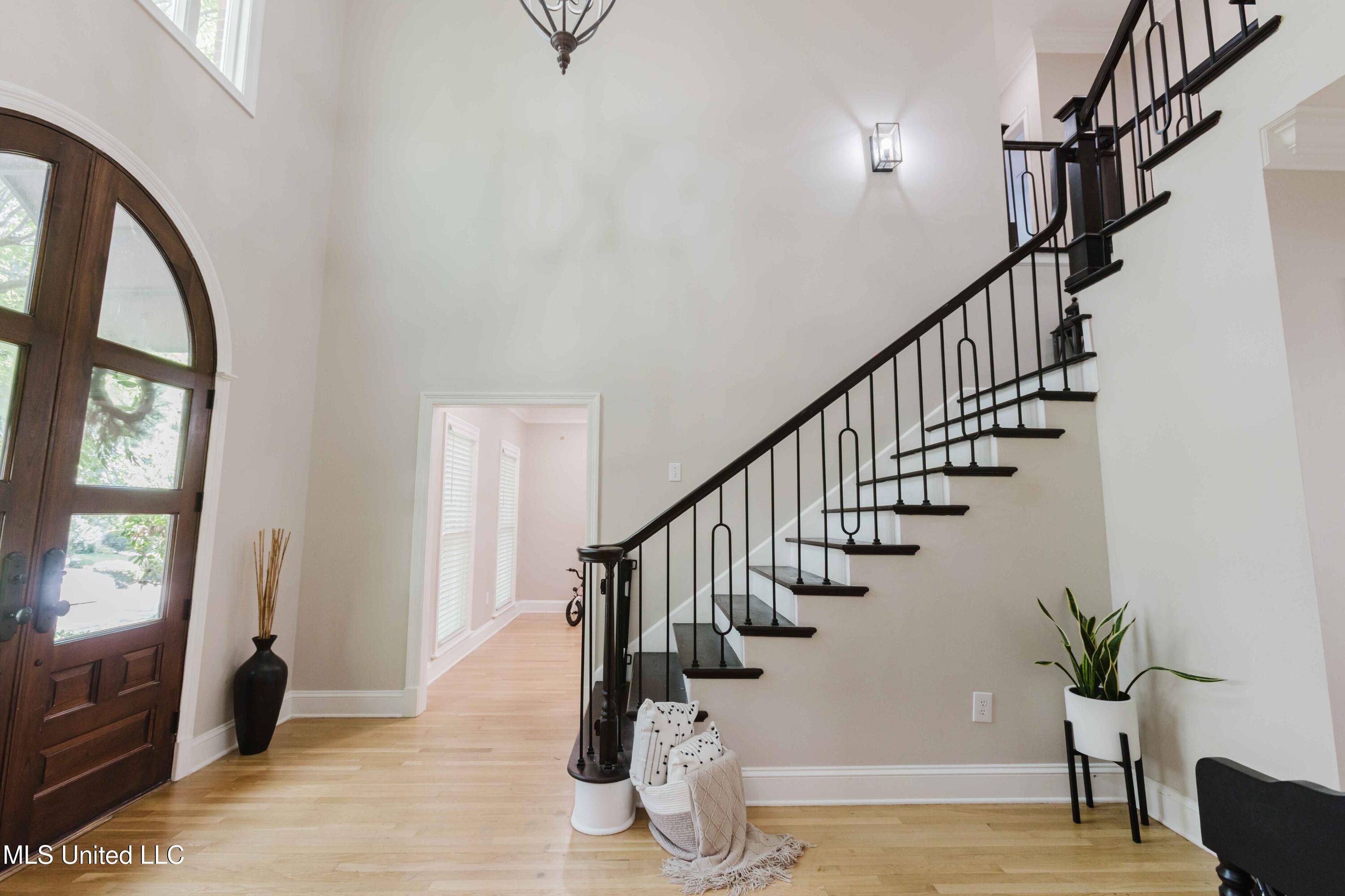 207 Bellewether Pass Ridgeland, MS 39157 - Photo 7 of 49 watsonphotography.250714100811