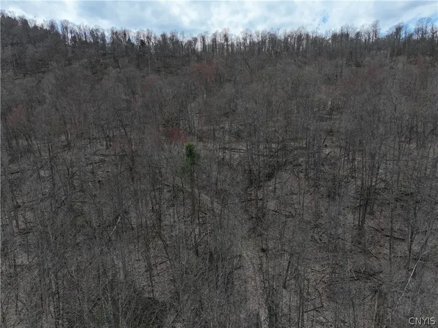 $990,000 | 4529 Rt-28, Milford, NY 13807