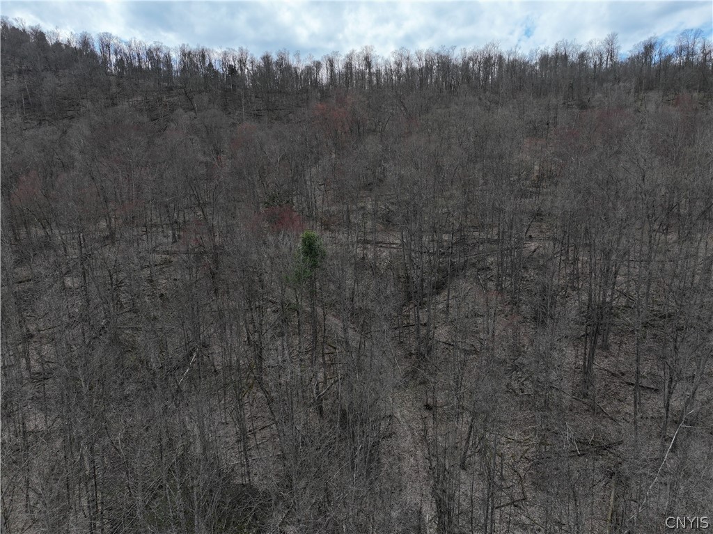 4529 Rt-28 Milford, NY 13807 - Photo 11 of 23