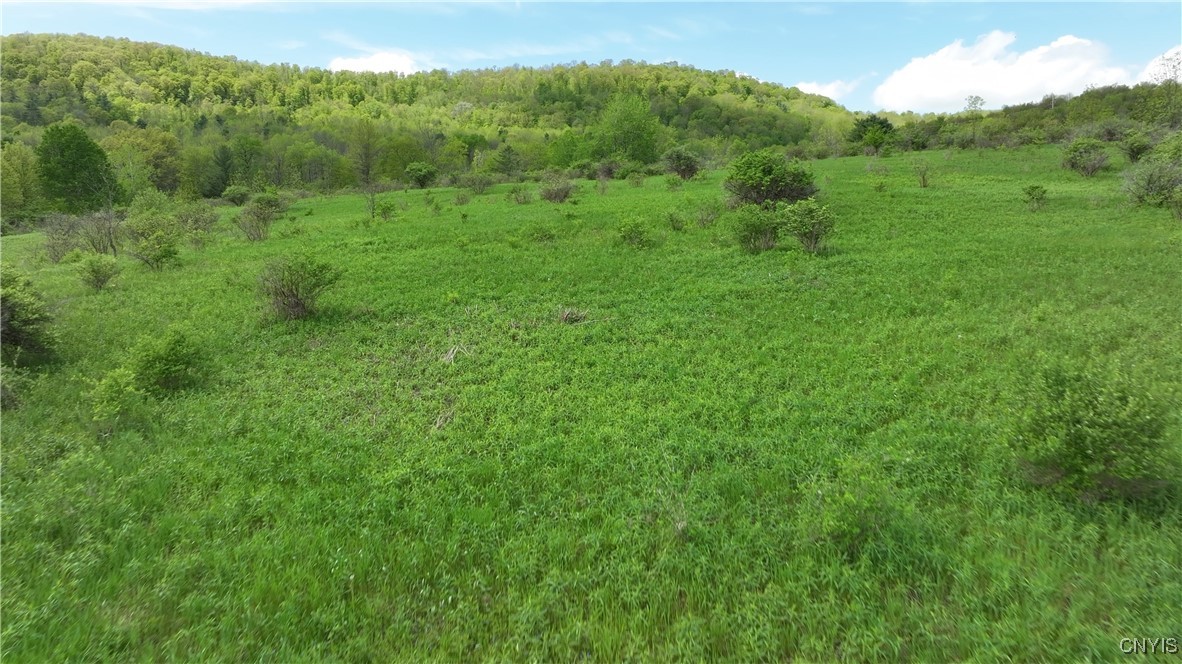 4529 Rt-28 Milford, NY 13807 - Photo 16 of 23